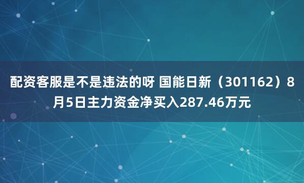 配资客服是不是违法的呀 国能日新（301162）8月5日主力资金净买入287.46万元