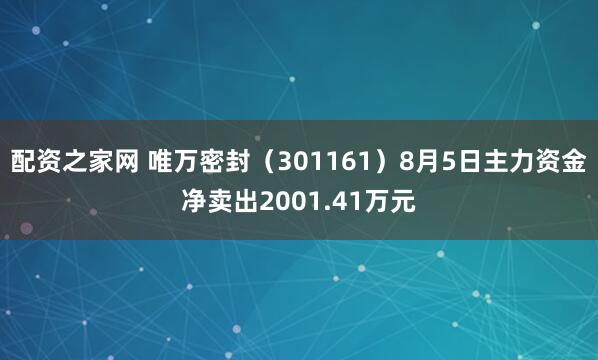 配资之家网 唯万密封（301161）8月5日主力资金净卖出2001.41万元