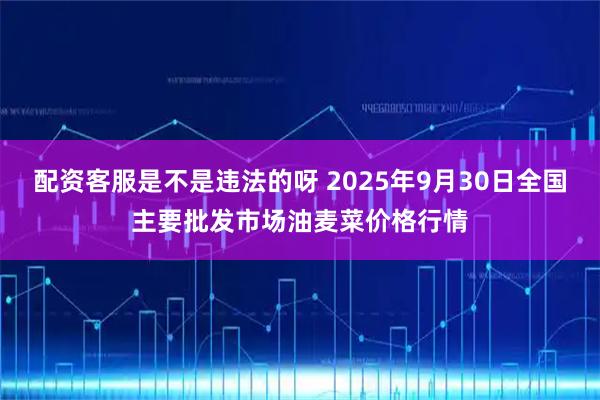 配资客服是不是违法的呀 2025年9月30日全国主要批发市场油麦菜价格行情