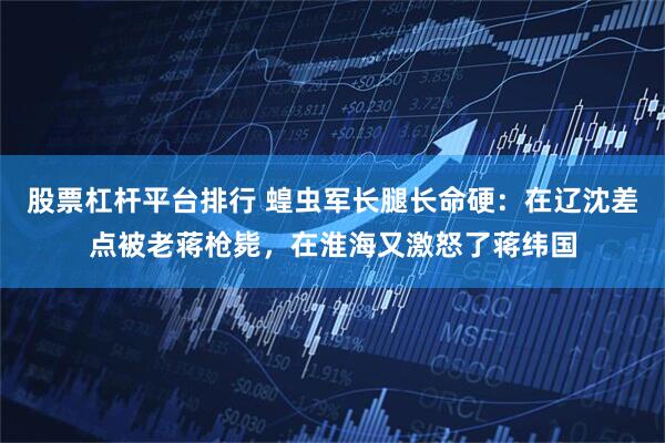 股票杠杆平台排行 蝗虫军长腿长命硬：在辽沈差点被老蒋枪毙，在淮海又激怒了蒋纬国